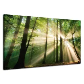 obraz-na-plotnie-slonce-w-lesie-drzewa-natura-120x70-cm