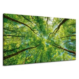 obraz-na-plotnie-drzewa-liscie-natura-las-wiosna-120x70-cm