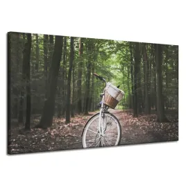 obraz-na-plotnie-mlodziezowe-rower-w-lesie-natura-sport-120x70