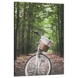 obraz-na-plotnie-mlodziezowe-rower-w-lesie-natura-przygoda-80x120