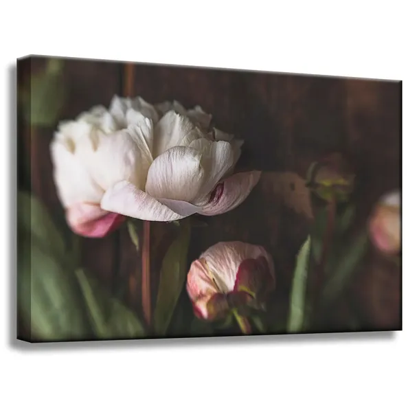 obrazy-na-plotnie-botanika-biale-piwonie-60x40-cm