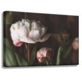 obrazy-na-plotnie-botanika-biale-piwonie-60x40-cm