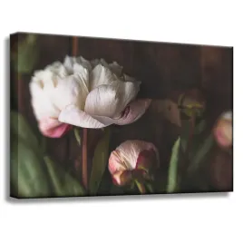 obrazy-na-plotnie-botanika-biale-piwonie-60x40-cm