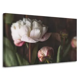 obrazy-na-plotnie-botanika-biale-piwonie-100x60-cm