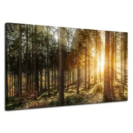 obraz-na-plotnie-brzozy-drzewa-slonca-poranek-120x70-cm
