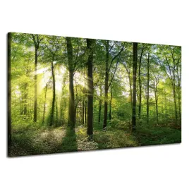 obraz-na-plotnie-slonce-las-drzewa-promienie-swiatla-120x70-cm