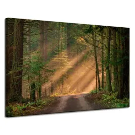obraz-na-plotnie-sciezka-w-lesie-drzewa-przyroda-120x80-cm