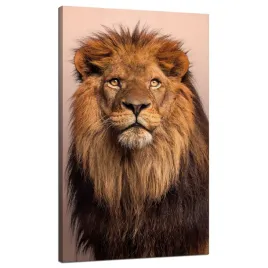 obraz-na-plotnie-twarz-lwa-pieknosc-grzywa-wlosy-70x120-cm