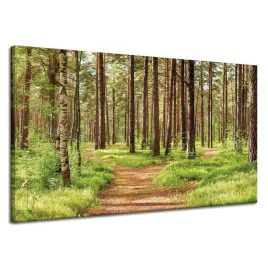 obraz-na-plotnie-sciezka-w-lesie-drzewa-przyroda-120x70-cm