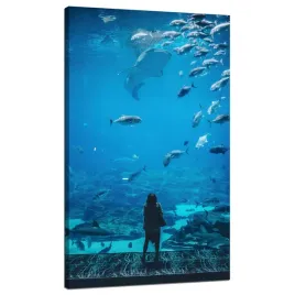 obraz-na-plotnie-ludzie-akwarium-woda-ocean-morskie-zycie-70x120-cm