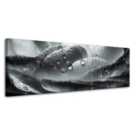 obraz-na-plotnie-botanika-kwiat-krople-rosy-120x40