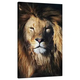 obraz-na-plotnie-lew-grzywa-twarz-dzikosc-70x120-cm