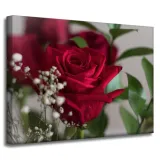 obrazy-na-plotnie-botanika-czerwone-roze-40x30-cm