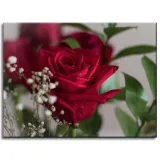 obrazy-na-plotnie-botanika-czerwone-roze-40x30-cm-stan-nowy