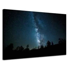 obraz-na-plotnie-kosmos-noc-las-mglawica-natura-astronomia-120x80