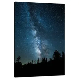obraz-na-plotnie-kosmos-noc-las-mglawica-natura-astronomia-80x120