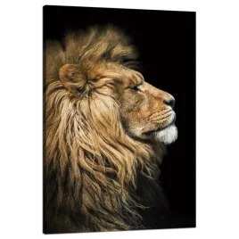 obraz-na-plotnie-portret-lwa-bokiem-dzikosc-natura-80x120-cm