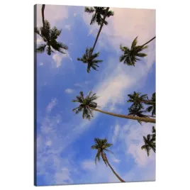 obraz-na-plotnie-natura-palmy-kokosowe-80x120-cm
