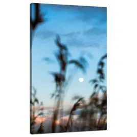 obraz-na-plotnie-natura-polana-laka-wschod-slonca-70x120