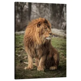 obraz-na-plotnie-pozujacy-lew-na-tle-natury-80x120-cm