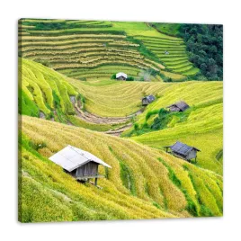 obraz-na-plotnie-natura-tarasy-rolne-40x40-cm