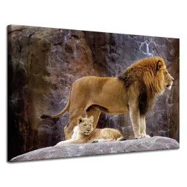 obraz-na-plotnie-para-lwow-na-skale-gory-przyroda-120x80-cm