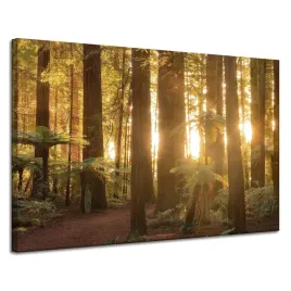obraz-na-plotnie-promienie-slonca-las-drzewa-120x80-cm