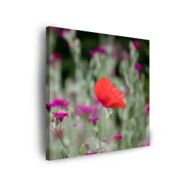 obraz-na-plotnie-botanika-ogrod-kwiatow-kwiaty-natura-80x80-cm