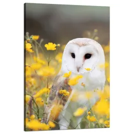 obraz-na-plotnie-biala-sowa-kwiaty-przyroda-laka-natura-zwierzeta-80x120