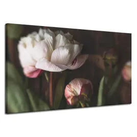 obraz-na-plotnie-bialy-kwiat-natura-vintage-retro-120x70