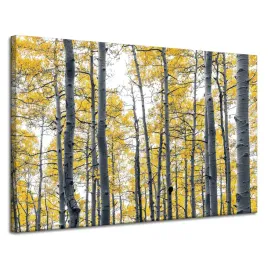 obraz-na-plotnie-brzozy-zolte-liscie-natura-wiosna-120x80-cm