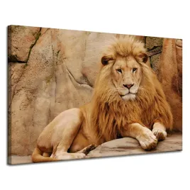 obraz-na-plotnie-zwierze-lezace-przy-skale-przyroda-120x80-cm