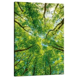 obraz-na-plotnie-drzewa-liscie-natura-las-wiosna-80x120-cm