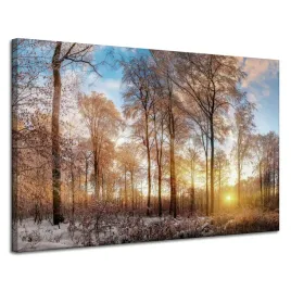 obraz-na-plotnie-drzewa-zima-wschodzace-slonce-120x80-cm