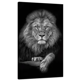 obraz-na-plotnie-szarosc-lew-twarz-poza-krol-70x120-cm