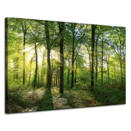 obraz-na-plotnie-slonce-las-drzewa-promienie-swiatla-120x80-cm