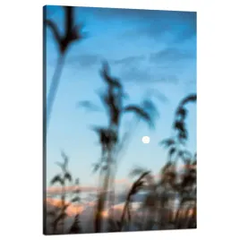 obraz-na-plotnie-natura-polana-laka-wschod-slonca-80x120