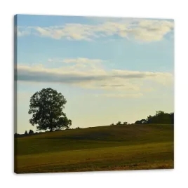 obraz-na-plotnie-natura-drzewko-w-polu-spokojny-pejzaz-wiejski-60x60-cm