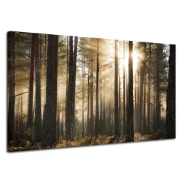 obraz-na-plotnie-slonce-w-lesie-zimne-kolory-trawa-120x70-cm