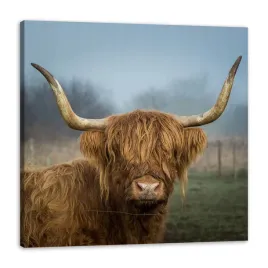 obraz-na-plotnie-zwierzeta-krowa-40x40-cm