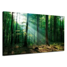 obraz-na-plotnie-las-drzewa-promienie-slonca-120x70-cm