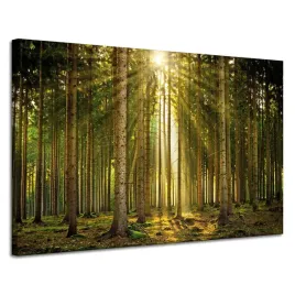 obraz-na-plotnie-las-drzewa-slonce-natura-wiosna-120x80-cm