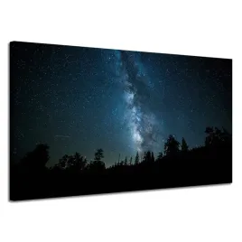 obraz-na-plotnie-kosmos-noc-las-mglawica-natura-astronomia-120x70