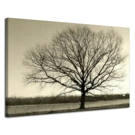 obraz-na-plotnie-ponure-czarne-drzewo-smutek-120x80-cm
