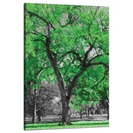 obraz-na-plotnie-czarne-drzewa-zielona-liscie-sztuka-80x120-cm