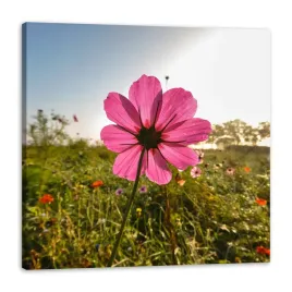 obraz-na-plotnie-botanika-rozowy-kwiat-natura-kwiaty-90x90-cm