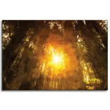 obraz-na-plotnie-las-w-blasku-slonca-pastele-120x80-cm-stan-nowy