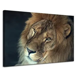 obraz-na-plotnie-twarz-i-oczy-lwa-dzikosc-120x80-cm