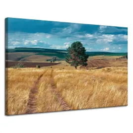 obraz-na-plotnie-pole-zboza-natura-chmury-krajobraz-120x80-cm