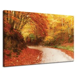 obraz-na-plotnie-sciezka-w-jesiennym-lesie-kolorowe-liscie-120x80-cm